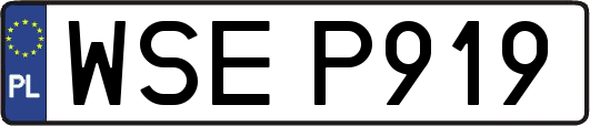 WSEP919