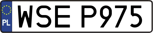WSEP975