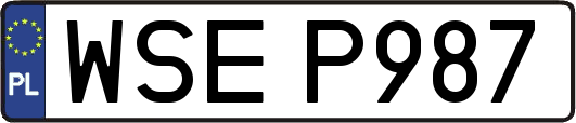 WSEP987