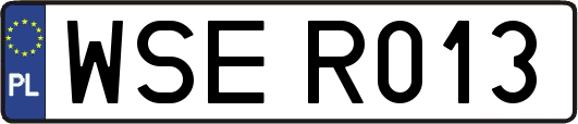 WSER013