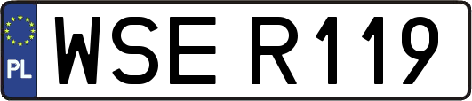 WSER119