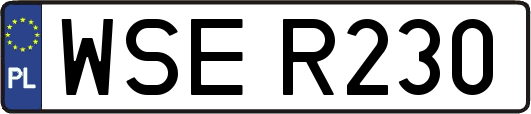 WSER230