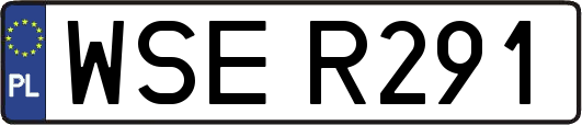 WSER291