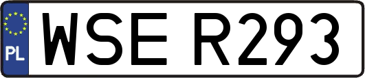 WSER293