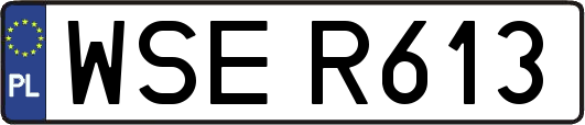 WSER613