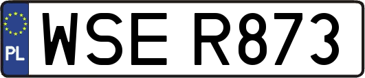 WSER873