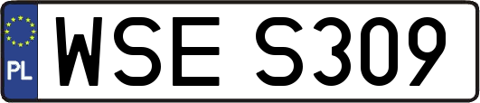 WSES309
