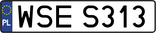 WSES313