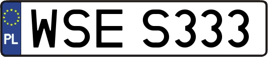 WSES333