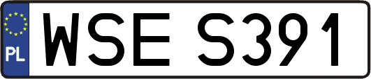 WSES391