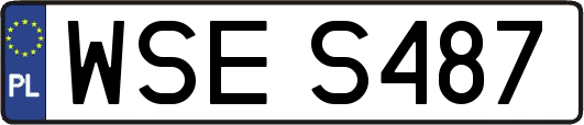 WSES487