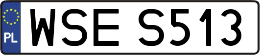 WSES513