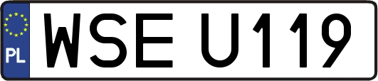 WSEU119
