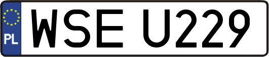 WSEU229