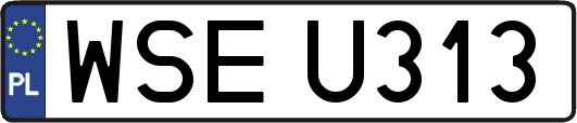 WSEU313