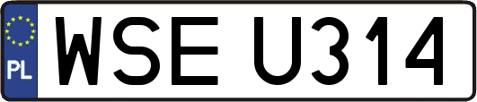 WSEU314