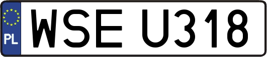 WSEU318