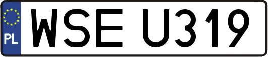 WSEU319
