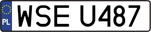 WSEU487
