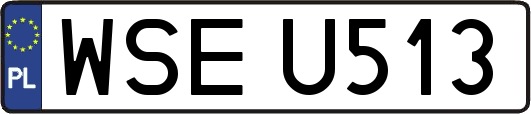 WSEU513