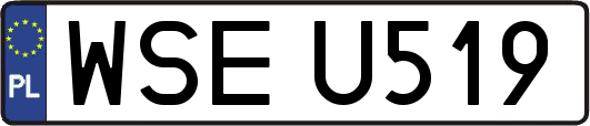 WSEU519