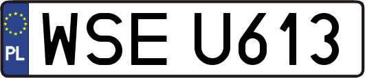 WSEU613