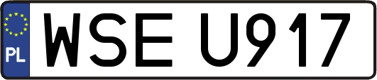 WSEU917