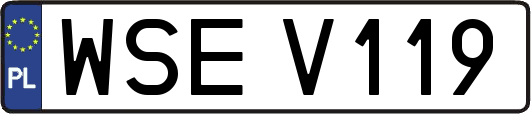 WSEV119