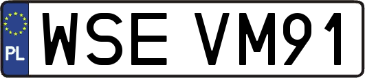 WSEVM91