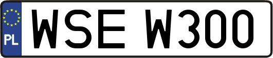 WSEW300