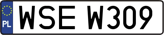 WSEW309
