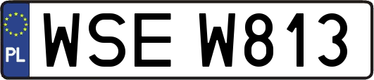 WSEW813