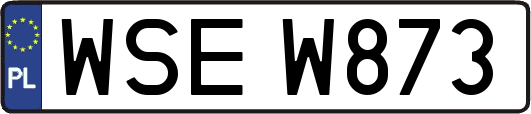WSEW873