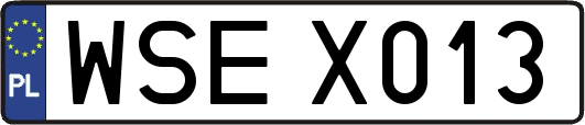 WSEX013