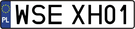 WSEXH01