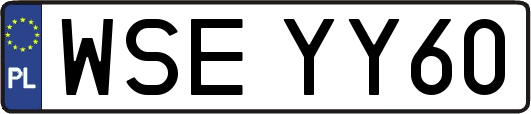 WSEYY60