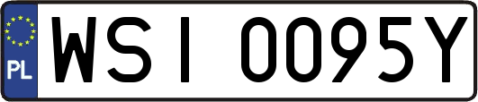 WSI0095Y