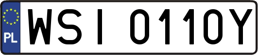 WSI0110Y