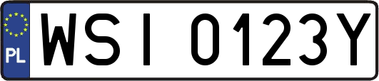 WSI0123Y