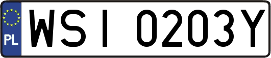 WSI0203Y
