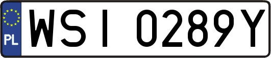 WSI0289Y