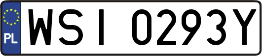 WSI0293Y