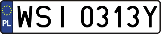 WSI0313Y