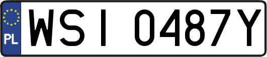 WSI0487Y