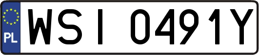 WSI0491Y
