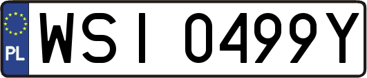 WSI0499Y
