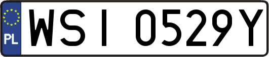 WSI0529Y
