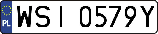 WSI0579Y