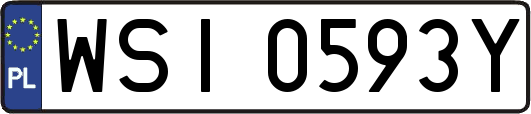 WSI0593Y