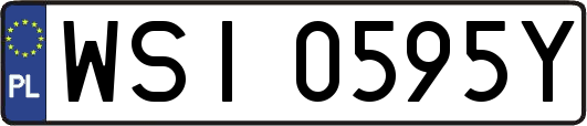WSI0595Y